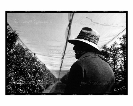pereWilliam_Altedo_fotoLucaBolognese.com
