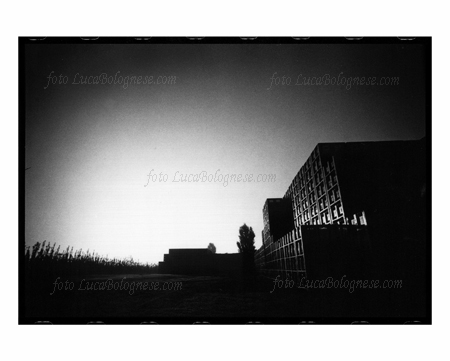 pereWilliam_Altedo_fotoLucaBolognese.com