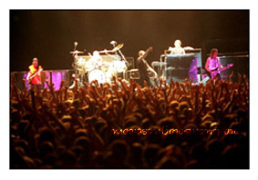 Deep Purple   foto Luca Bolognese