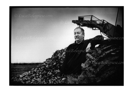 barbabietole_foto_LucaBolognese.com